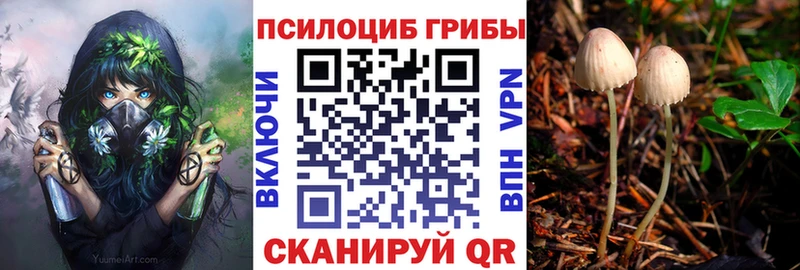 Псилоцибиновые грибы Psilocybe  ссылка на мегу   Сосновый Бор  дарнет шоп 