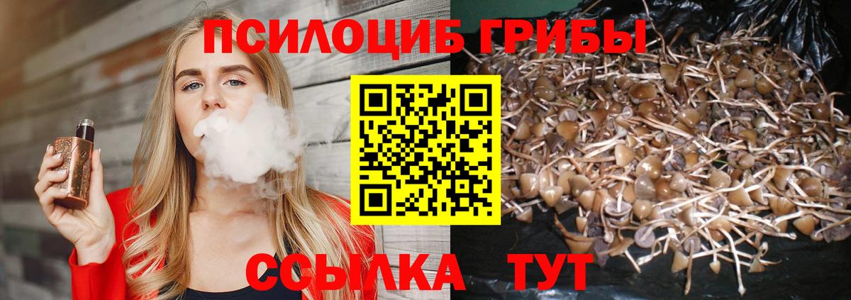 Галлюциногенные грибы Cubensis  Галлюциногенные грибы Psilocybe  Сосновый Бор  Вход с VPN 