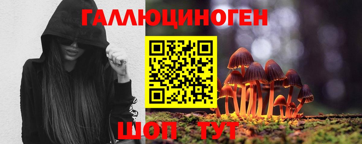 Галлюциногенные грибы Magic Shrooms Сосновый Бор