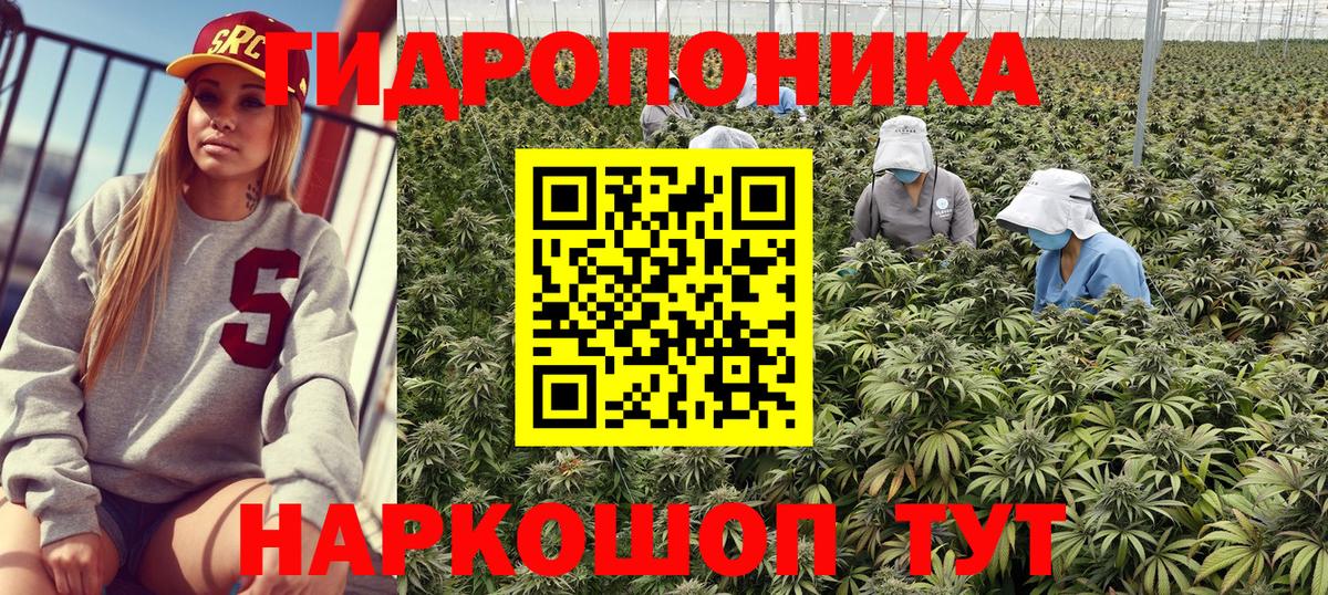 МАРИХУАНА ГИДРОПОН Сосновый Бор